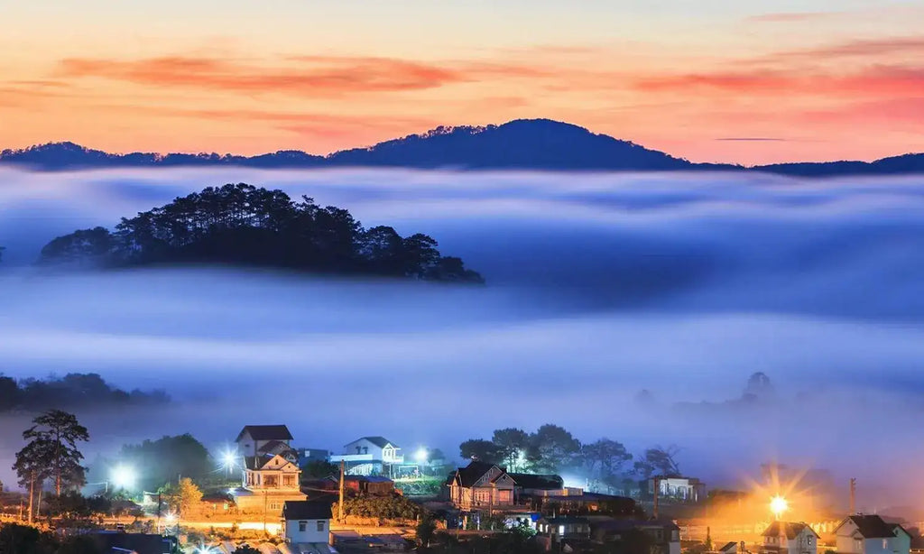 Tour Nghỉ Dưỡng Đà Lạt