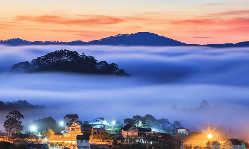 Booking Tour Bảo Lộc