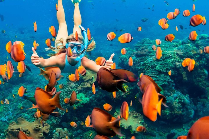 Tour Nghỉ Dưỡng Nha Trang - Lặn Biển & Spa