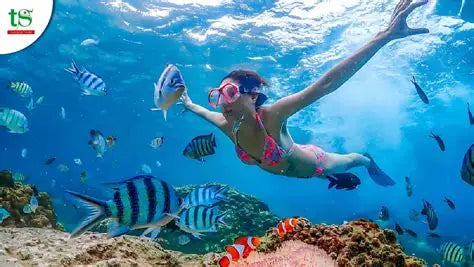 Tour Nghỉ Dưỡng Nha Trang - Lặn Biển & Spa